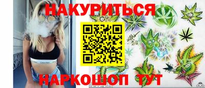 сатива Жуковский