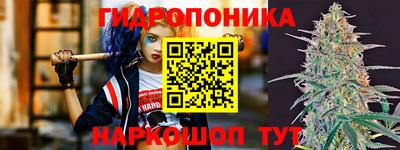сатива Жуковский